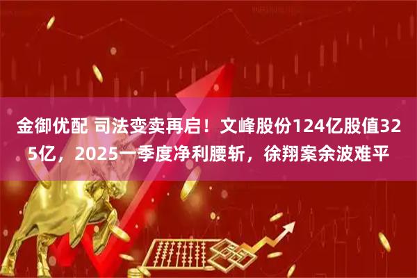 金御优配 司法变卖再启！文峰股份124亿股值325亿，2025一季度净利腰斩，徐翔案余波难平