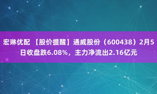 宏琳优配 【股价提醒】通威股份（600438）2月5日收盘跌6.08%，主力净流出2.16亿元