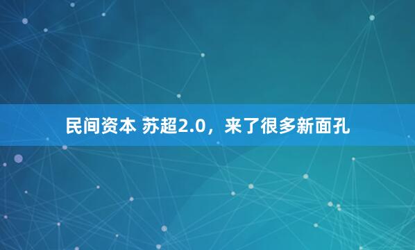 民间资本 苏超2.0，来了很多新面孔